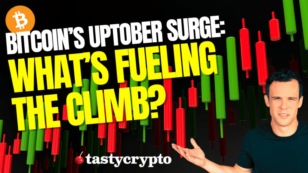 uptober surge tastycrypto youtube