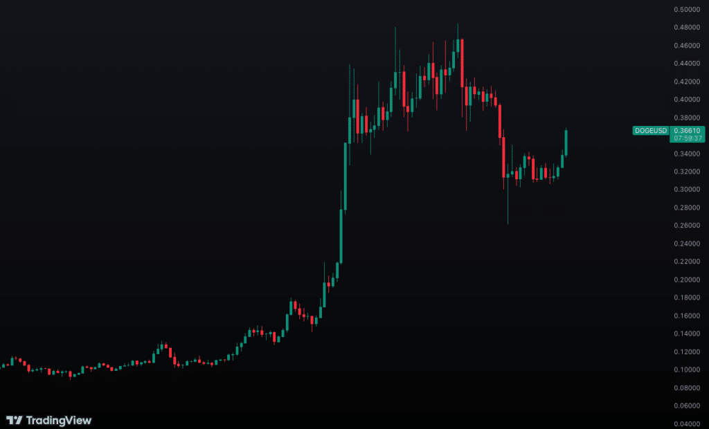 Crypto 2025 DOGE Price Performance